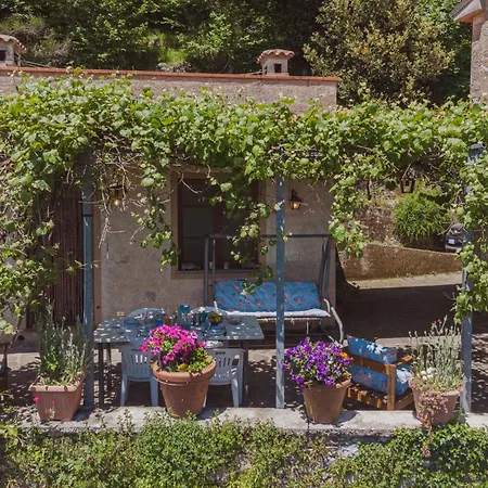 Paradiso By Interhome Hébergement de vacances *
